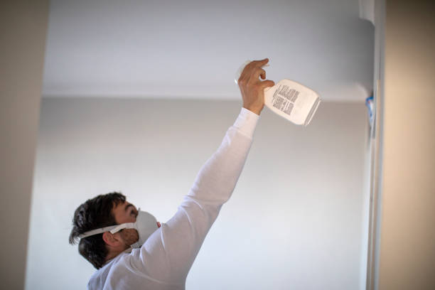 Best Home Mold Removal  in Francisville, KY