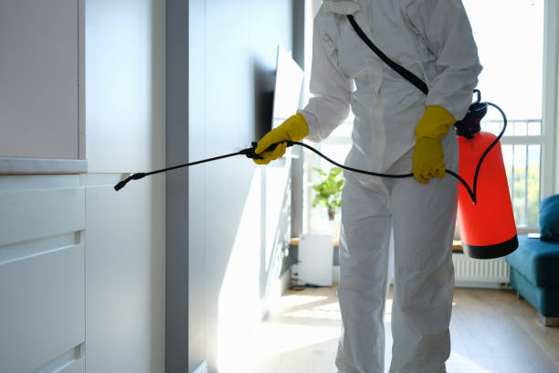 Office Mold Removal Services in Francisville, KY