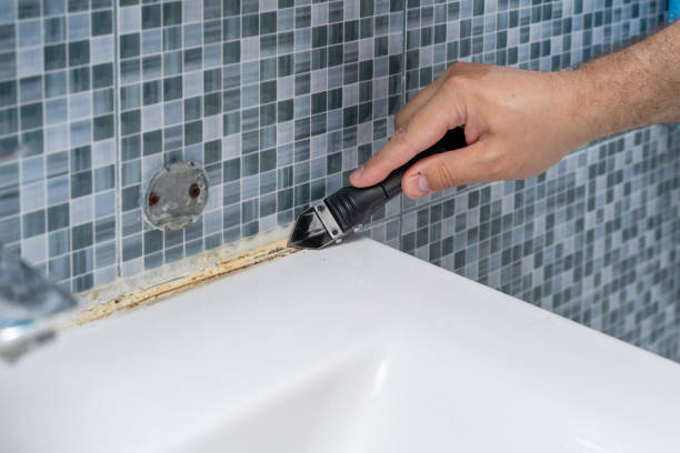 Best Best Mold Removal Companies  in Francisville, KY